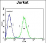 RPS3A Antibody (C-term)